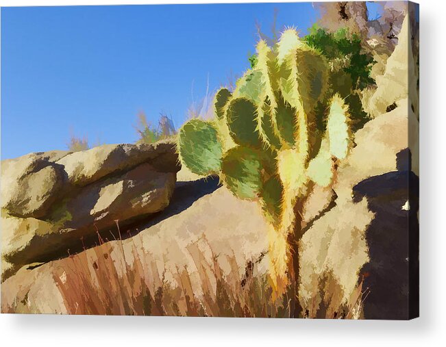 Cactus Acrylic Print featuring the photograph Uphill all the way by Scott Campbell