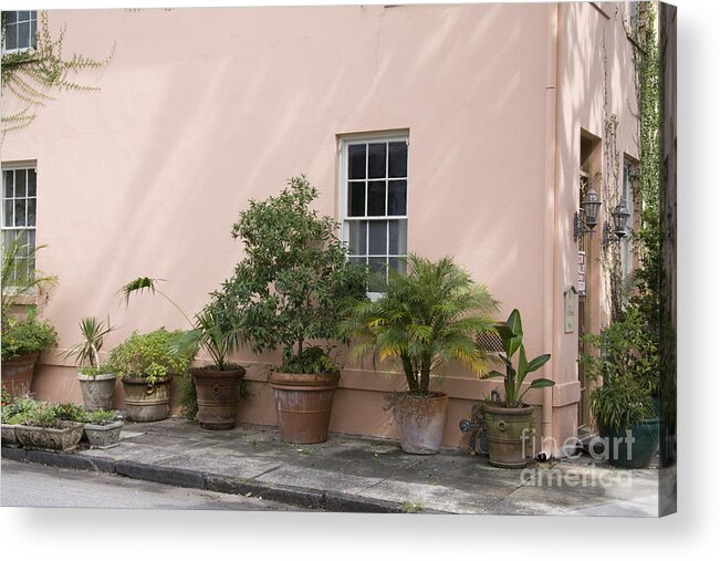 Palm Acrylic Print featuring the photograph Urban Container Garden by Ules Barnwell