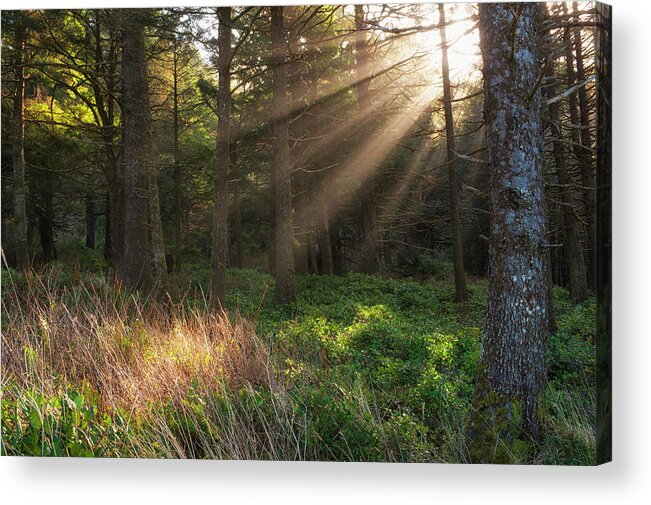 Outdoors Acrylic Print featuring the photograph Usa, Oregon, Tillamook County, Sunbeams by Tetra Images - Gary Weathers
