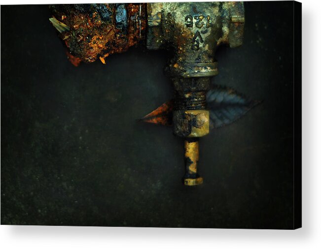 Plumbing Acrylic Print featuring the photograph V125 and the Meaning of Life by Rebecca Sherman