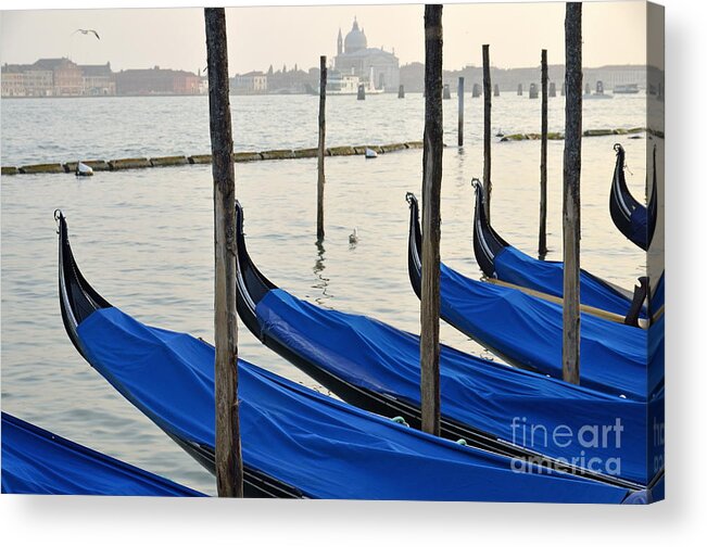 Blue Acrylic Print featuring the photograph Venetian lagoon and moored gondolas by Sami Sarkis