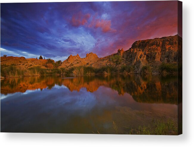Vibrant Acrylic Print featuring the photograph Vibrant Reflections by Sue Cullumber