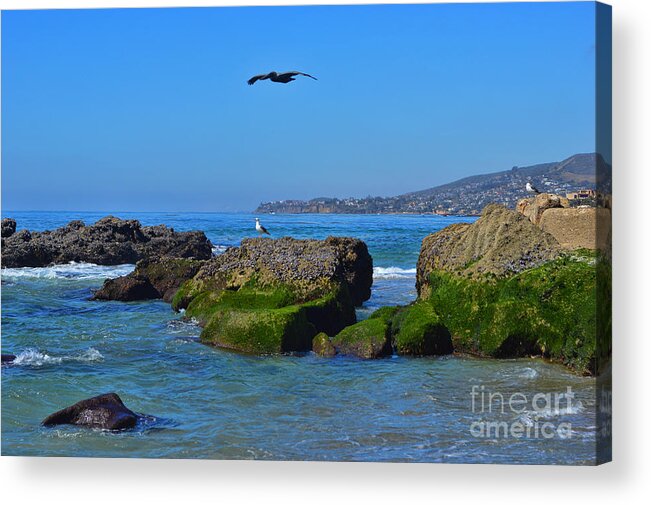 Tower Acrylic Print featuring the photograph Victoria Beach by Tommy Anderson