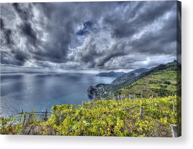 Europe Acrylic Print featuring the photograph Vineyards above Cinque Terre by Matt Swinden