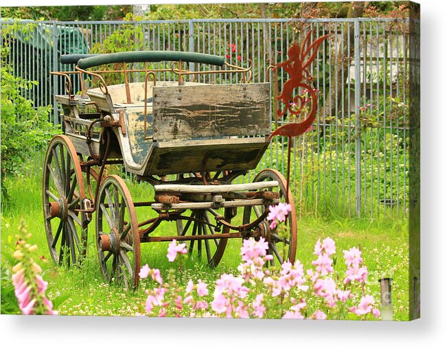 Aged Acrylic Print featuring the photograph Vintage horse carriage in a flower bed by Amanda Mohler