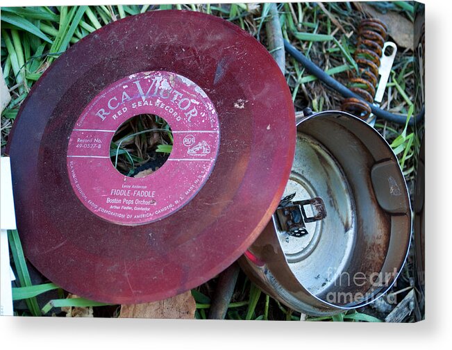 Vinyl Acrylic Print featuring the photograph Vinyl Picking by Gwyn Newcombe
