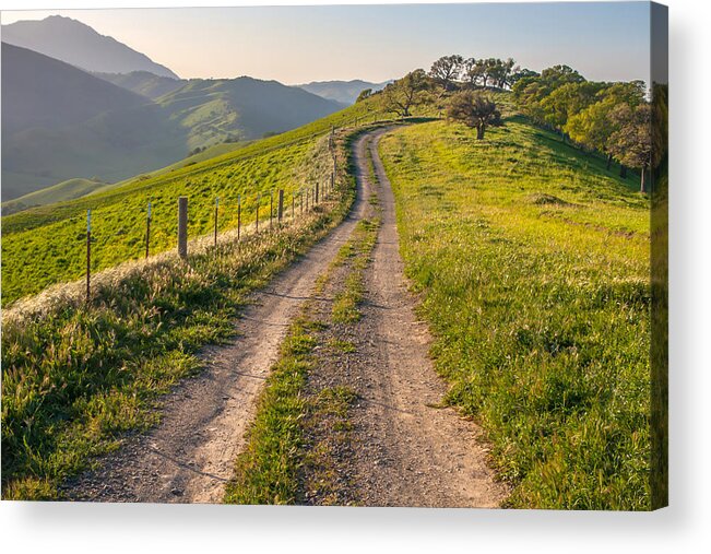 Landscape Acrylic Print featuring the photograph Vista Grande Trail And Mt Diablo by Marc Crumpler