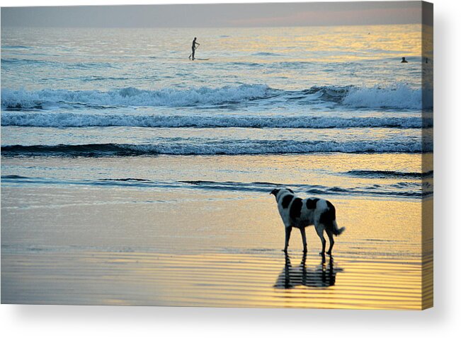 Scenic Acrylic Print featuring the photograph Wait For You by AJ Schibig