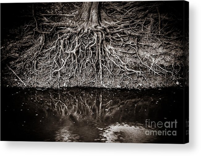 Defiance Acrylic Print featuring the photograph Waiting For A Hobbit by Michael Arend