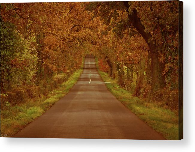 Scenics Acrylic Print featuring the photograph Walking The Autumnal Road by A Photo By Fletche