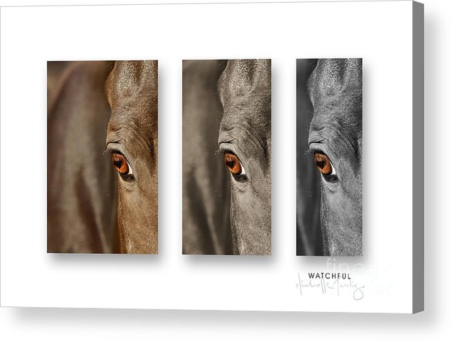 Nature Acrylic Print featuring the photograph Watchful Triptych by Michelle Twohig