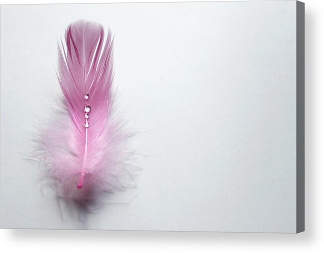 Tranquility Acrylic Print featuring the photograph Water Drops On Feather by Gregoria Gregoriou Crowe fine art and creative photography.