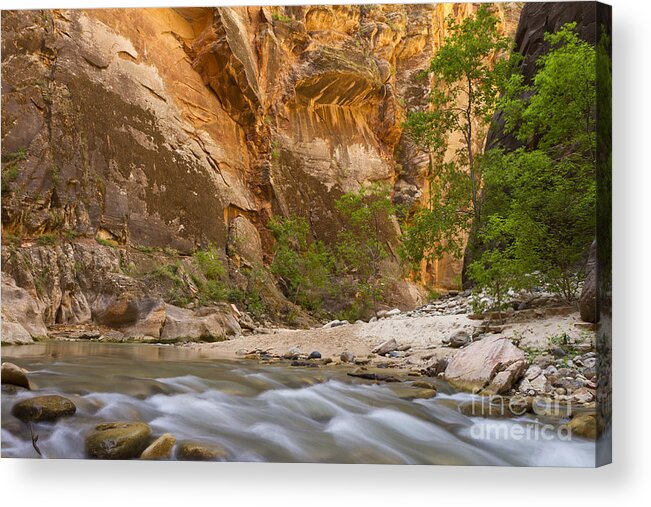 Zion Acrylic Print featuring the photograph Water in the Narrows by Bryan Keil