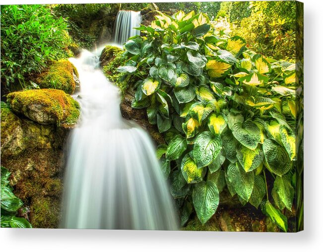 Flow Acrylic Print featuring the photograph Waterfall in the hosta by Eti Reid