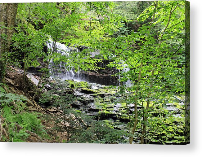 Ricketts Glen State Park Acrylic Print featuring the photograph Waterfall Ricketts Glen State Park PA by Susan Jensen