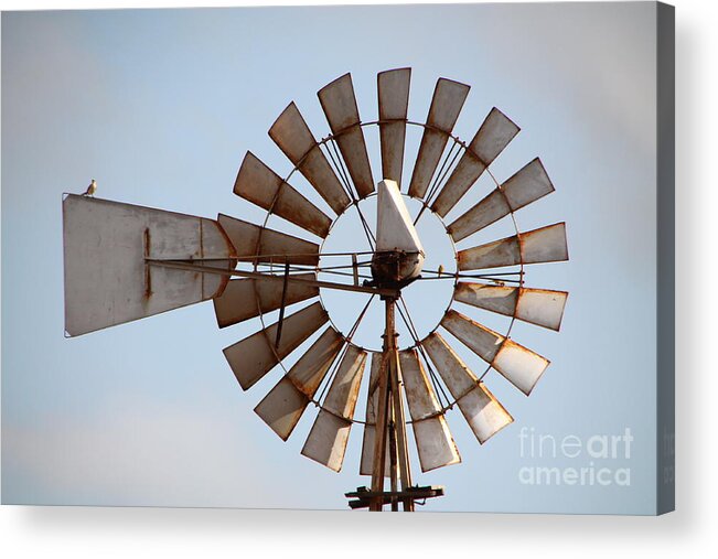 Watermill Acrylic Print featuring the photograph Watermill by Adriana Zoon