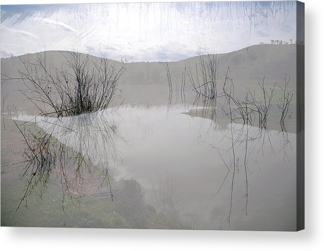 Water Acrylic Print featuring the photograph WaterScape by Dubi Roman