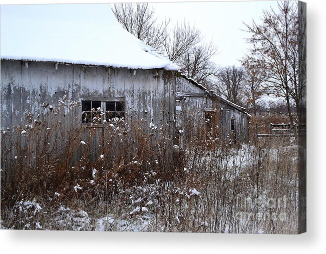 Barn Acrylic Print featuring the photograph Weathered Barns in Winter by Amy Lucid