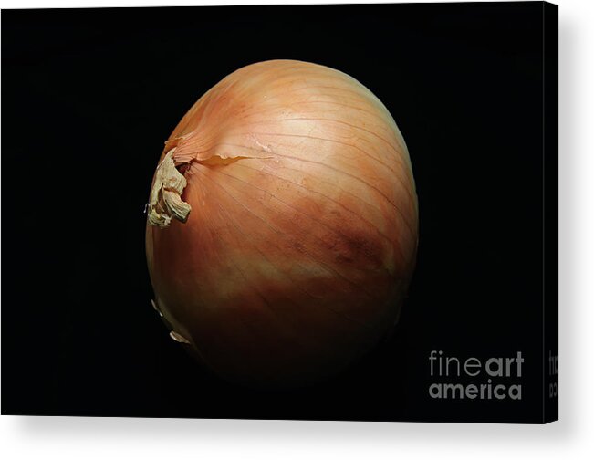 Weathered Onion - Garden Vegetable - Culinary - Chef Acrylic Print featuring the photograph Weathered Onion - Garden Vegetable - Culinary - Chef by Andee Design