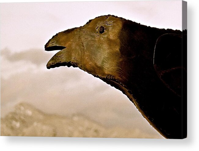 Raven Acrylic Print featuring the photograph Gaagii by Kim Pippinger