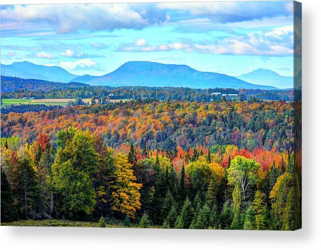 Foliage Acrylic Print featuring the photograph Westward View by John Nielsen