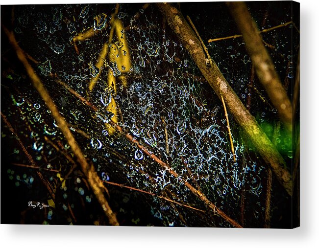Spider Web Acrylic Print featuring the photograph Spider - Water Droplets - Wet Web by Barry Jones