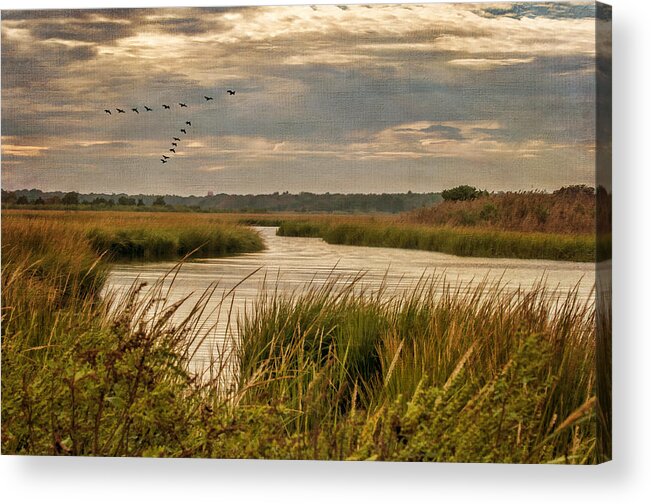 Marsh Acrylic Print featuring the photograph Wetlands in September by Cathy Kovarik