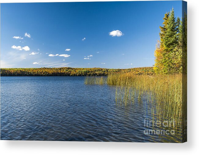 Ottawa Lake Acrylic Print featuring the photograph When Left Untouched by Dan Hefle