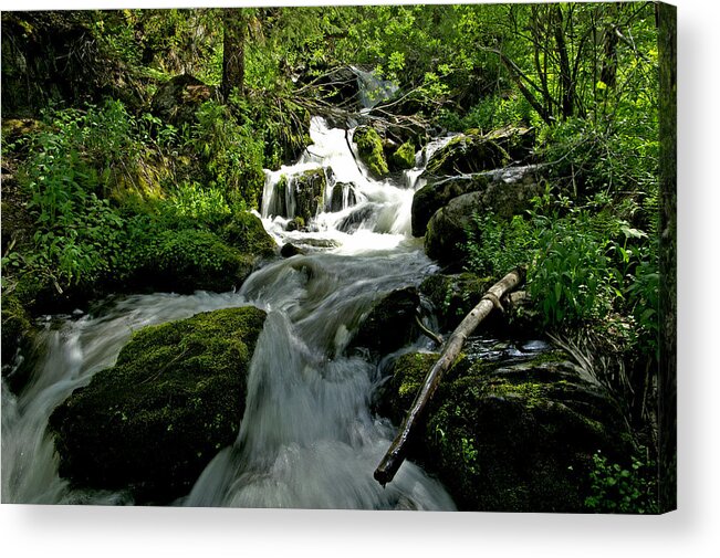 Foliage Acrylic Print featuring the photograph When Snow Melts by Jeremy Rhoades