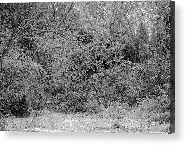 Ice Acrylic Print featuring the photograph Where Is The Trail by Daniel Reed
