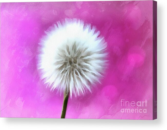 Dandelion Acrylic Print featuring the digital art Whimsical Wishes by Krissy Katsimbras