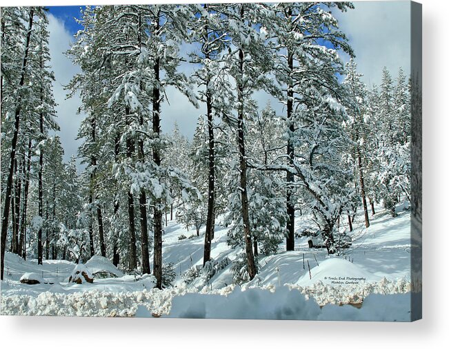 Landscape Acrylic Print featuring the photograph Whispering Snow by Matalyn Gardner