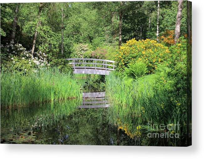 Bridges Acrylic Print featuring the photograph White Bridge over a pond by Amanda Mohler