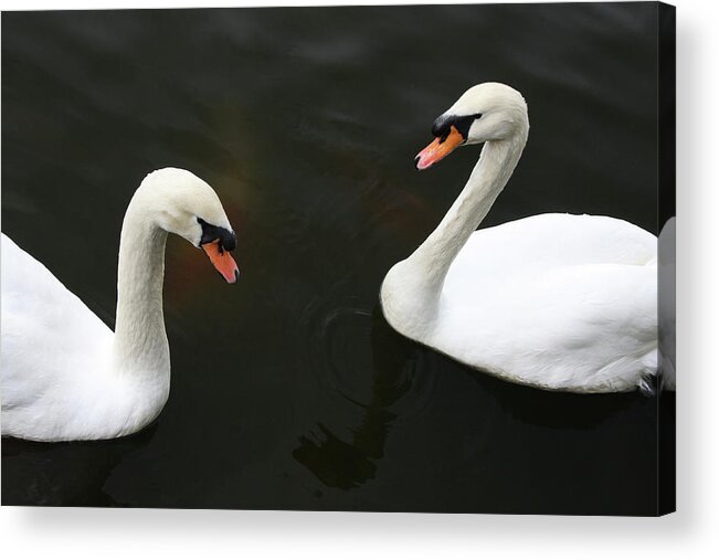 Feng Shui Love And Marriage Acrylic Print featuring the photograph Devotion by James Knight