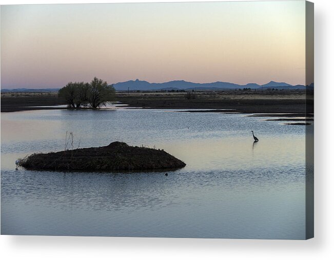 Nature Acrylic Print featuring the photograph Whitewater Draw, Az by Mark Newman