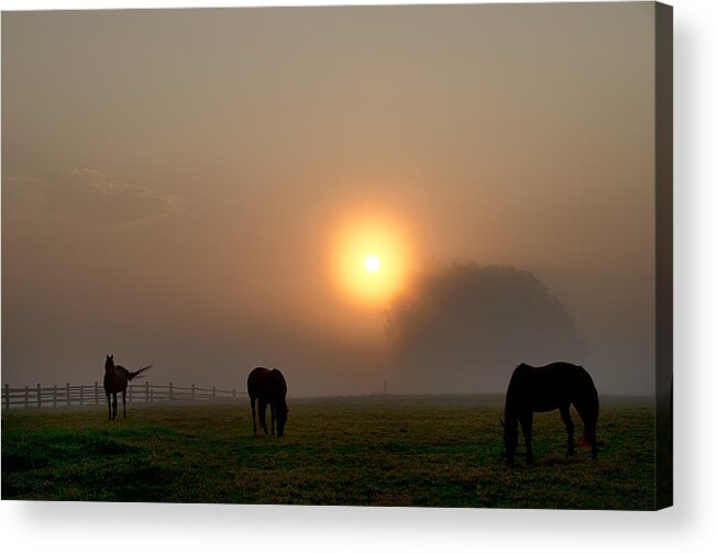 Widner Acrylic Print featuring the photograph Widner Farm at Sunrise by Bill Cannon