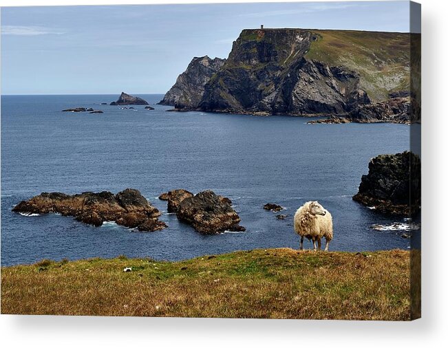 Tranquility Acrylic Print featuring the photograph Wild Atlantic Way, Ireland West Coast by Andrea Pistolesi