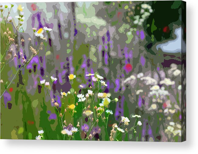 Wildflowers Acrylic Print featuring the photograph Wildflowers by Jackson Pearson