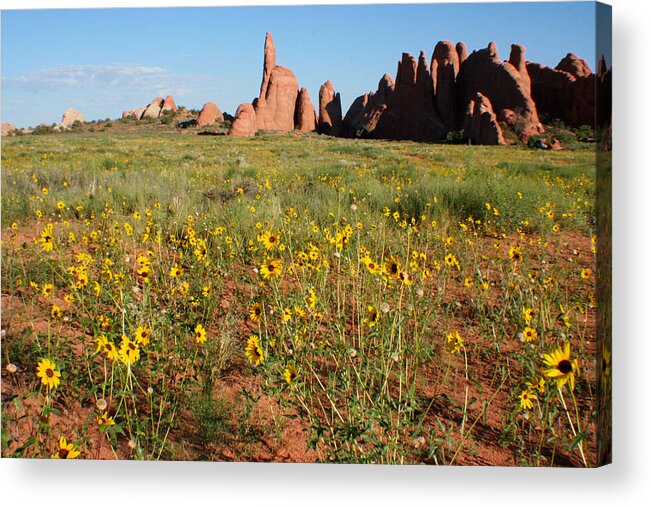 Arches National Park Acrylic Print featuring the photograph Wildflowers by Jon Emery