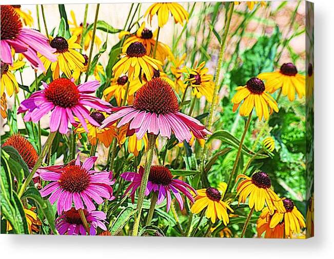 Pink Flowers Acrylic Print featuring the photograph Wildflowers by Karen McKenzie McAdoo