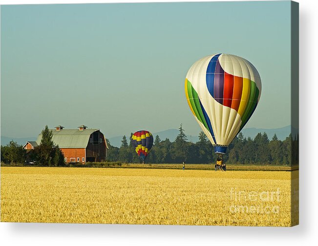 Hot Acrylic Print featuring the photograph Willamette Valley Ballooning by Nick Boren