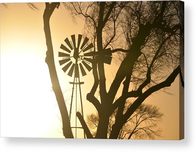 Wind And Sun Spinning Acrylic Print featuring the photograph Spinning In The Sundown by Clarice Lakota