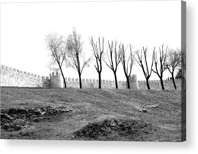 Cathedral Acrylic Print featuring the photograph Wind Whipped Sentries At the Wall by Lorraine Devon Wilke