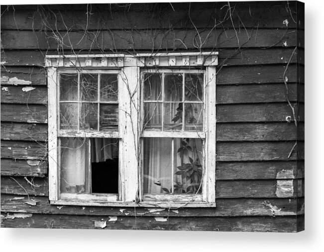 Johns Island Acrylic Print featuring the photograph Window Dressing by Patricia Schaefer