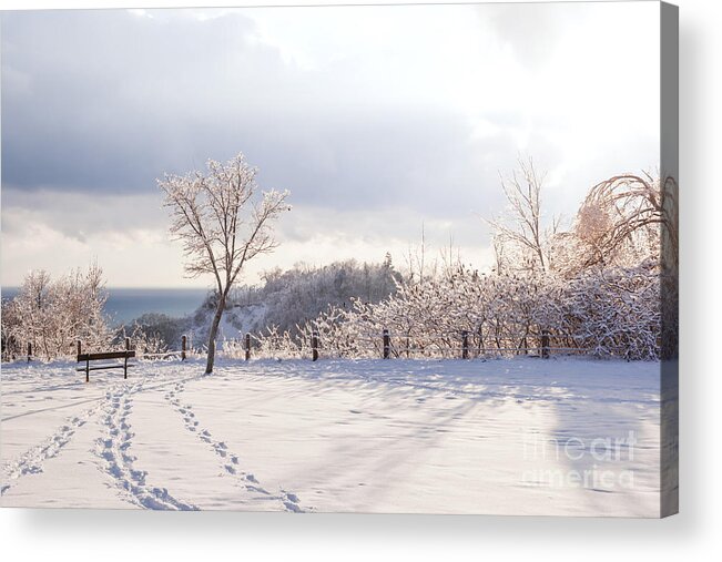 Winter Acrylic Print featuring the photograph Winter at Scarborough Bluffs by Elena Elisseeva
