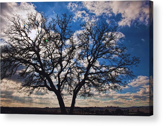 Landscape Acrylic Print featuring the photograph Winter Blue Skys by Bill Dodsworth