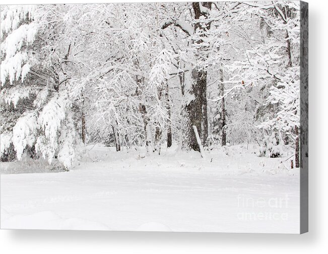 Winter Wonderland Acrylic Print featuring the photograph Winter Canvas by Gwen Gibson