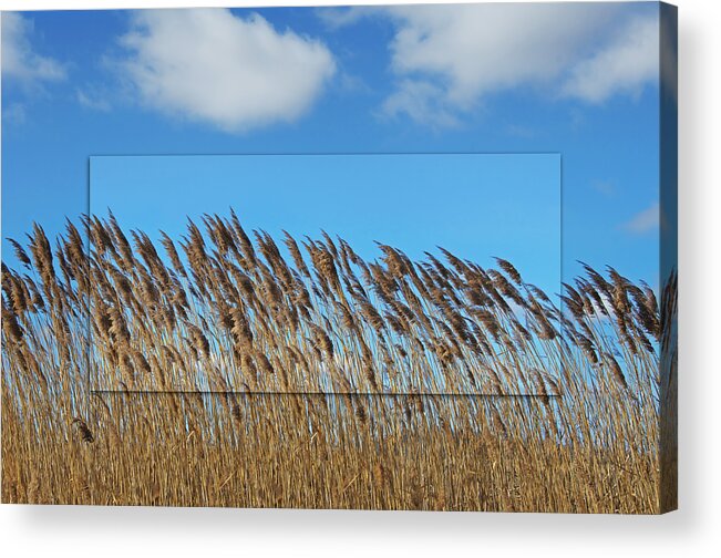 Prairie Acrylic Print featuring the photograph Prairie Grasslands by Steven Michael