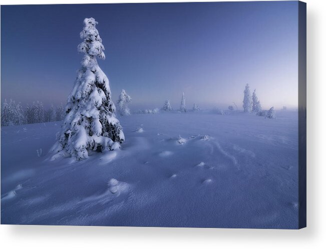 Landscape Acrylic Print featuring the photograph Winter Is Back by Fabian M?ller