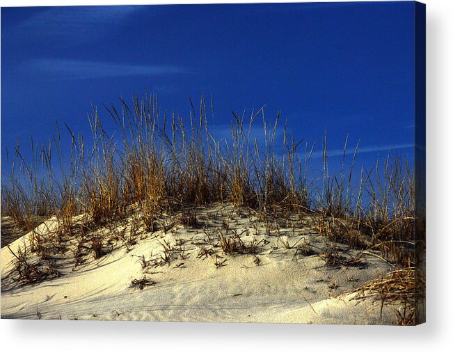 Landscape Acrylic Print featuring the photograph Winter Morning on the Dunes by Bill Swartwout
